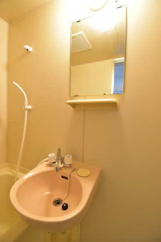 グランソシエ浪速IIの洗面所