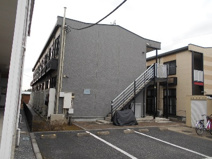 アイアイの画像