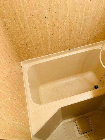 仲介手数料0円！！ラ・レジダンス・ド・シャトレーヌの浴室