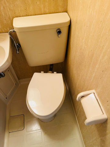 仲介手数料0円！！ラ・レジダンス・ド・シャトレーヌのトイレ