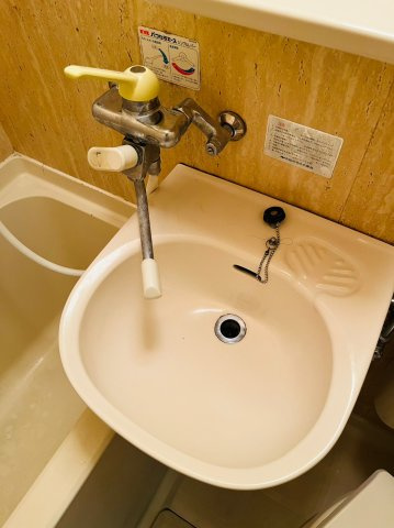 仲介手数料0円！！ラ・レジダンス・ド・シャトレーヌの洗面所