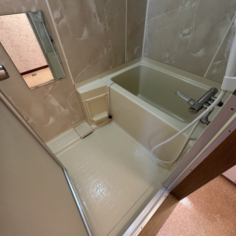 メゾンシエナⅢの浴室