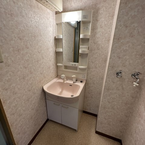 メゾンシエナⅢの洗面所