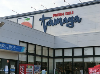 たまや大磯店まで800ｍ