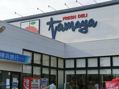 たまや大磯店まで800ｍ