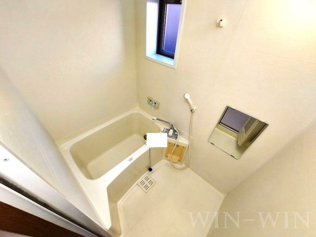 キャプリコーンエス Bの浴室