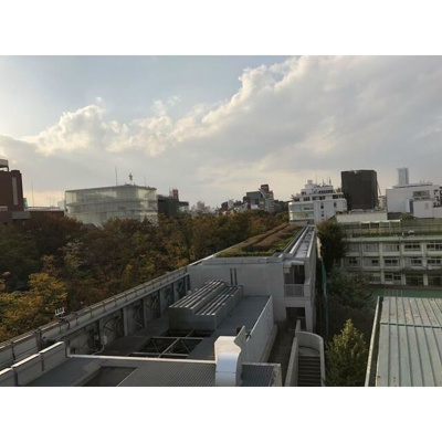 【展望】 | 表参道ヒルズゼルコバテラス