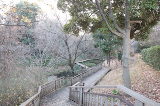 宮前美しの森公園まで500ｍ
