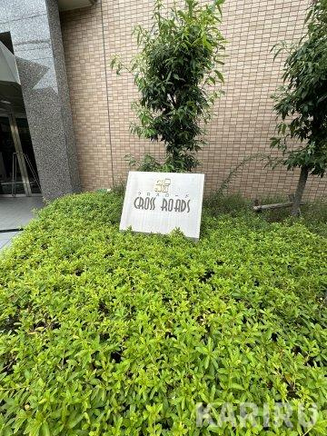 クロスロードの庭