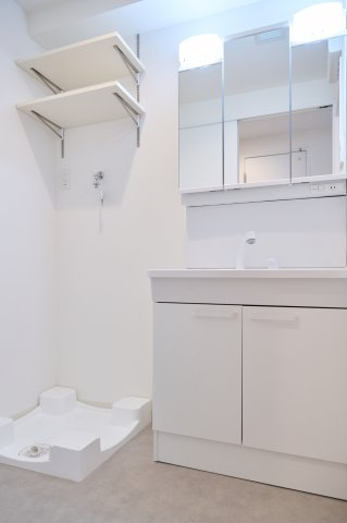 上益城郡御船町大字小坂の賃貸マンションの洗面所