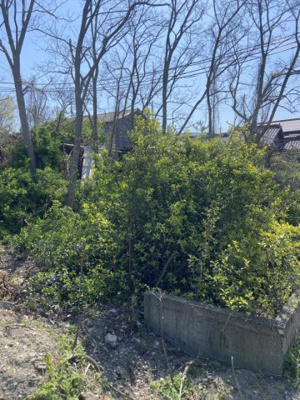 【外観】 | 鳥取市賀露町北3丁目土地