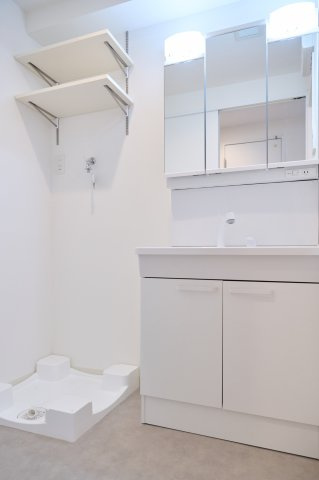 上益城郡御船町大字小坂の賃貸マンションの洗面所