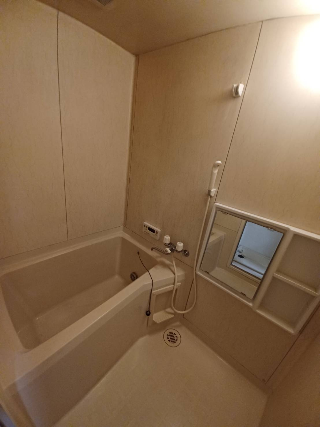 エステ東田の浴室