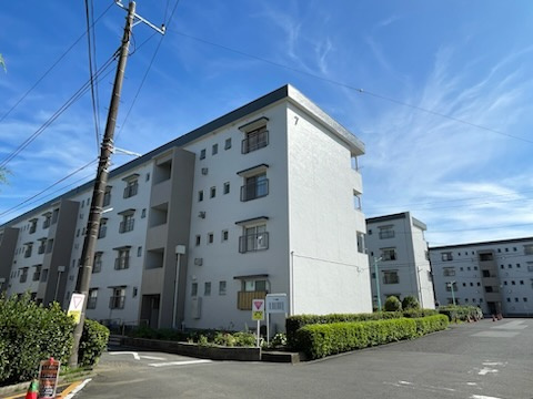 の-の画像