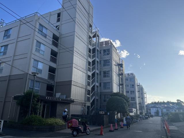 の-の画像
