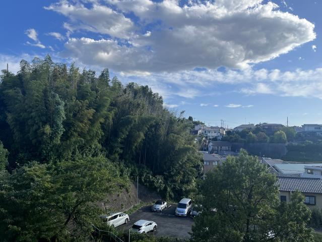 の-の画像