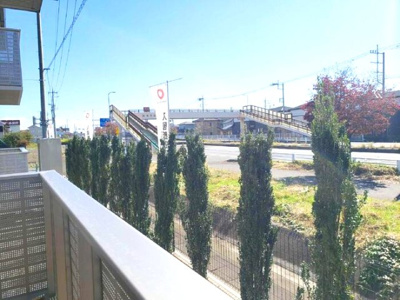 【展望】 | ロージー