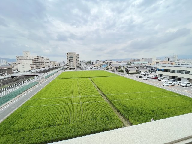 アンピール諸岡Ⅱの展望