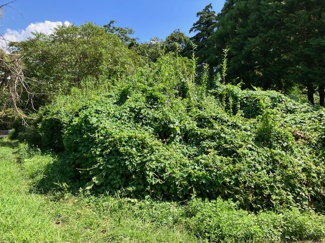 【外観】 | 南道路に面した日当たり良好の土地