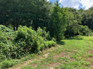 【外観】 | 綺麗な形の土地です。