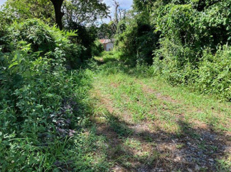 【前面道路含む現地写真】 | 北西側道路北側から南側へ向かって撮影しました。