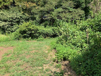 【前面道路含む現地写真】 | 南西側道路東側から西側へ向かって撮影しました。