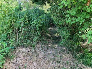 【外観】 | 南東側敷地南側から北側へ向かって撮影