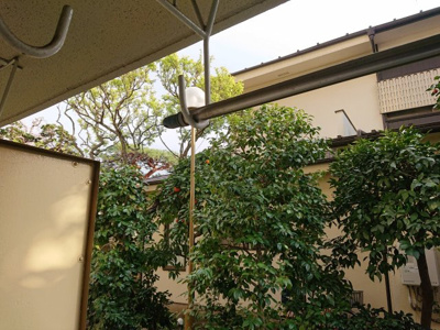 【展望】 | ドーム吉祥寺