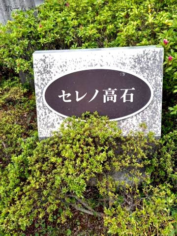 セレノ高石のエントランス
