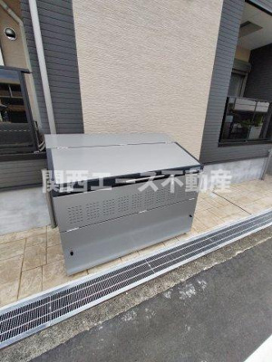  | F asecia Rumina
