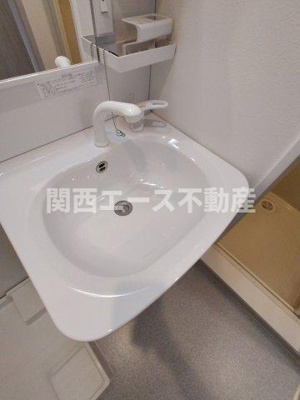  | F asecia Rumina
