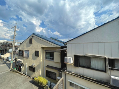 【展望】 | ティンバー・ヒルズ