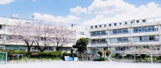 【周辺】 | 成増ヶ丘小学校550m