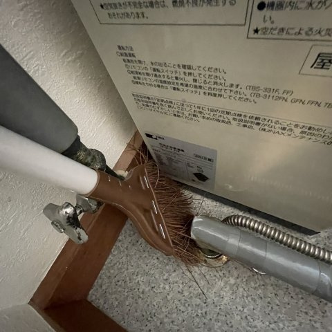 クレール・シャンブルのその他