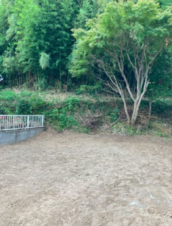 【周辺】 | 家にいながら森林浴が楽しめそう。最寄りはビッグターミナル東海道線戸塚駅で、駅東口でお買い物が出来ます。