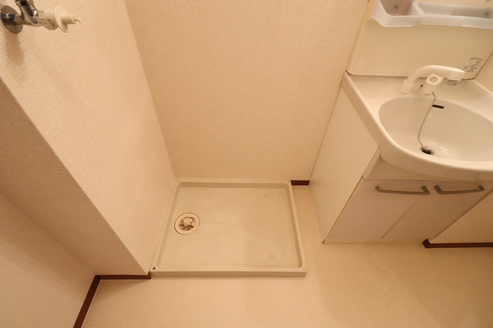 熊本市南区平成１丁目のアパートの洗面所