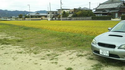【周辺】 | 愛媛県今治市国分６丁目 住宅用地