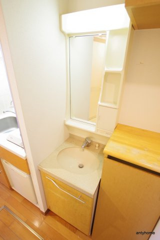 エステムコート大阪城前・OBPリバーフロント　仲介手数料無料の洗面所