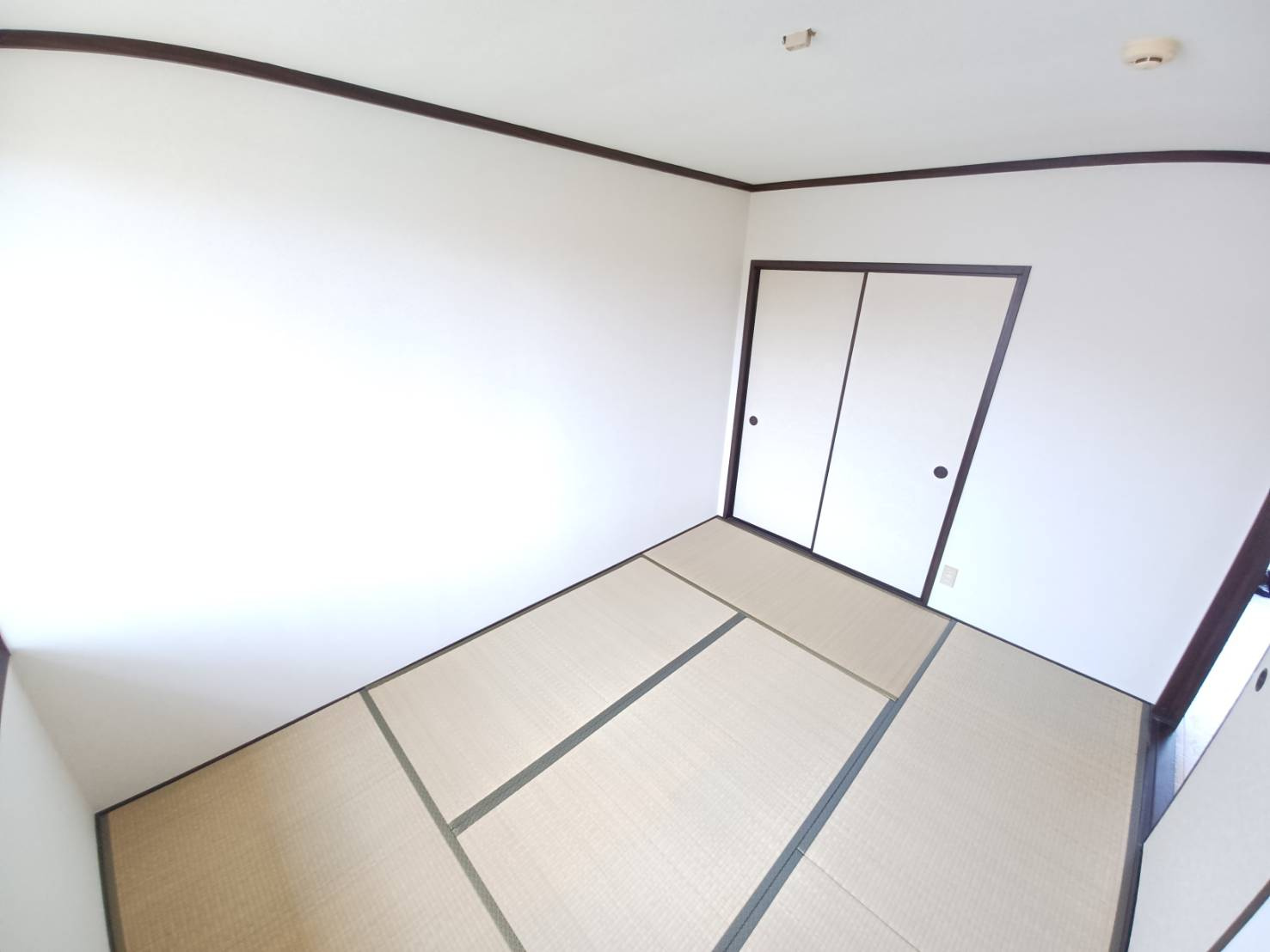 サンハイツ金子平の和室