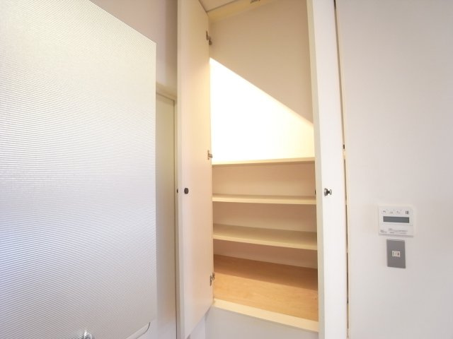 大原町戸建の収納