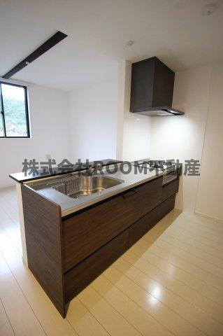 CATBOX　TADEIKE　B棟のキッチン