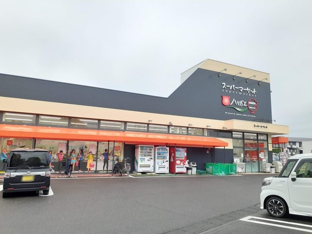 リーヴ・レガーロの周辺|その他