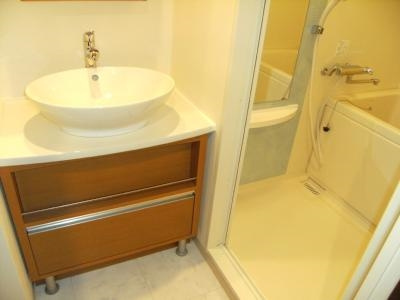 ベラジオ京都駅東の洗面所