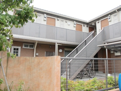 【展望】 | スタープラチナ桜上水 