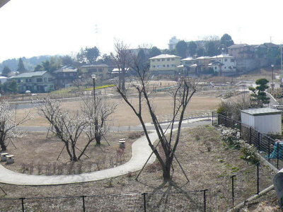 公園