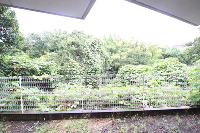 景色