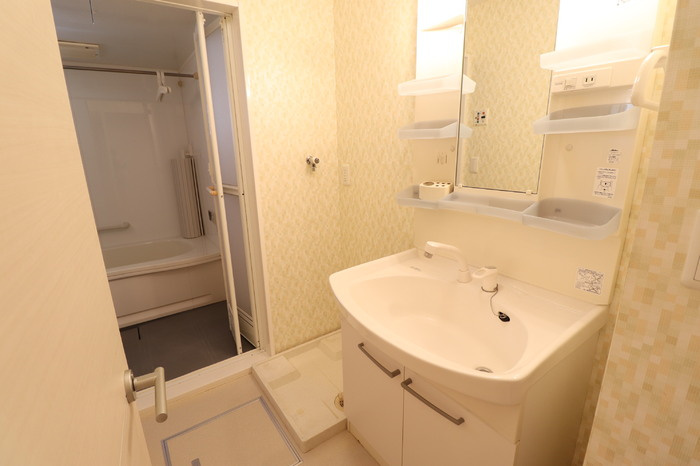 フィオーレ Ⅱの洗面所