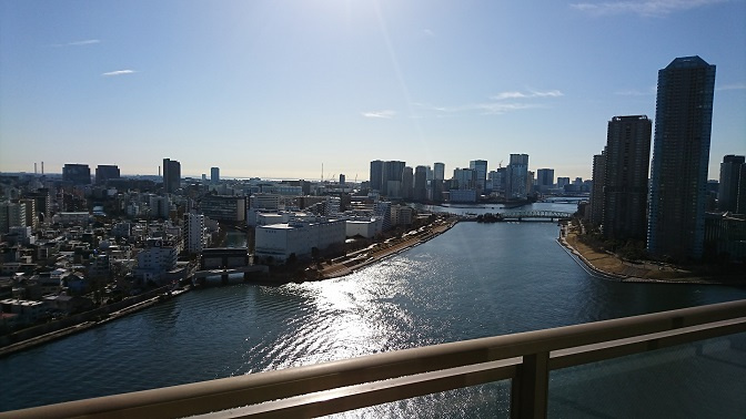 中央区新川１丁目の賃貸マンションのその他|眺望