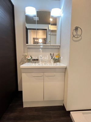 【独立洗面台】 | セレーノ新町 | 3面境の独立シャンプードレッサーです♪裏収納ありで便利！