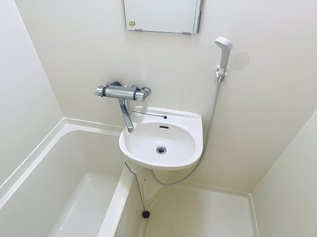 ZINハイツの洗面所